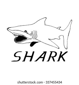 hand draw a shark in the style of a sketch on a black white background, used for banners, flyers, coloring books, tattoo