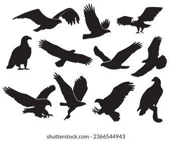 hand draw silhouette animals bird eagle vector illustration