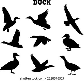 hand draw silhouette duck collection vector illustration