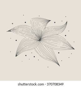 Hand draw single flower