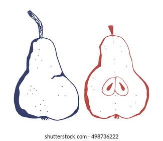 Hand draw sketch of blue and red pears on white background. Vector illustration for your design