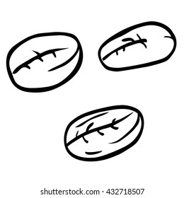 hand draw sketch of coffee bean
