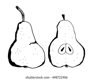 Hand draw sketch of pears on white background. Vector ink illustration
