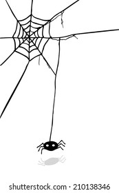 Hand Draw sketch, spider and web 