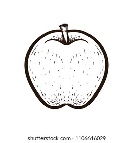 Hand draw sketch style fruit apple isolated on white background. Bio food vector illustration collection. Coloring book for adults