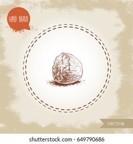 Hand draw sketch style half of nutmeg. Spice and condiment vector illustration isolated on old background.