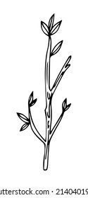hand draw sketch of tree branches