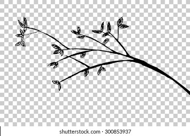 hand draw sketch of tree branches, at transparent effect background 
