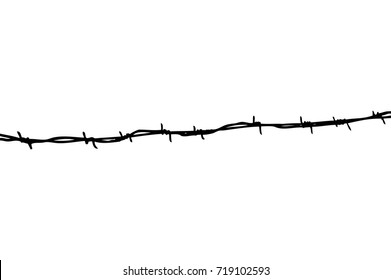 transparent barbed wire