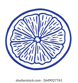 Hand draw sliced lemon vector illustration. Doodle citrus fruit on white background. La dolce vita.