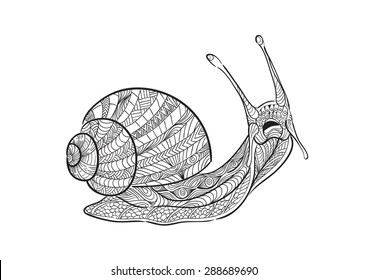 A hand draw snail in zentangle style