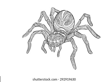 Hand draw of spider in Zentangle style