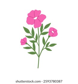 Hand draw Spring bright flower. Botanical illustration.
