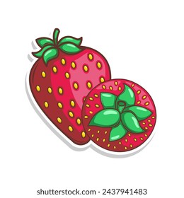hand draw strawberry fruit illustration art