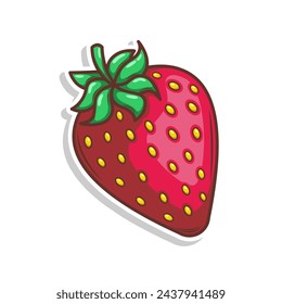 hand draw strawberry fruit illustration art