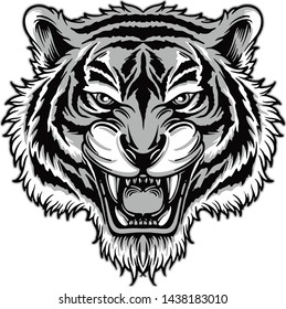 Hand draw style ,Tiger design vector illistration