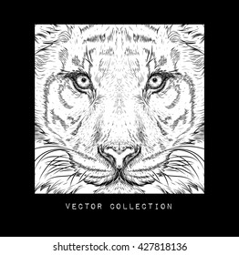 Hand draw tiger portrait. It may be used for design of shirt, bag, postcard and poster. Vector illustration