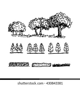 Hand Draw Tree Icon Illustration design