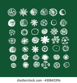 Hand Draw Tree Icon Illustration design