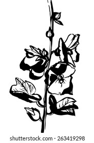 hand draw using paintbrush and ink flowers on stem