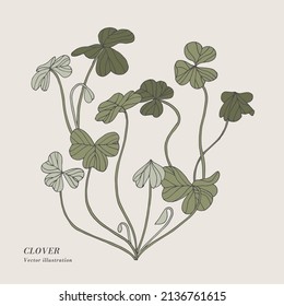 Hand draw vector clover herbal illustration. Botanical floral card on white background