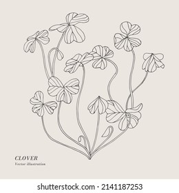 Dibujo manual de la ilustración herbaria de la tracción vectorial. Tarjeta floral botánica sobre fondo blanco