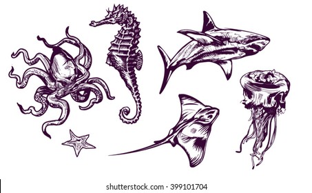 Hand draw vector elements for background design. Vector isolated. Hippocampus, shark, stingray, star, octopus, medusa (jellyfish).