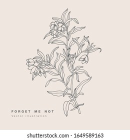 Hand draw vector forget ma not flowers illustration. Floral wreath. Botanical floral card