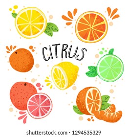 Hand draw vector illustration of citrus fruits. Fresh ripe citruses isolated on white - lemon, lime, orange, grapefruit in one collection. Juicy citrus with splashes, hand draw style. Lemons and