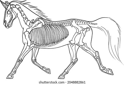 Hand Draw Vector Illustration Of A Horse Isolated In White. Magical Unicorn Skeleton. Halloween Animal. Skull And Bones. Silhouette Fantasy Mammal