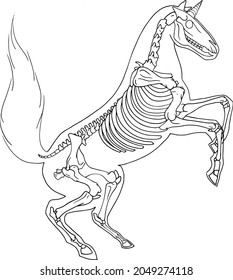 Hand draw vector illustration of a horse isolated in white. Magical Unicorn skeleton. Halloween animal. Skull and bones. Silhouette fantasy mammal