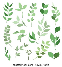 Hand draw vector illustration with leaves. It's perfect for cards, patterns, flowers compositions, frames, wedding cards and invitations.