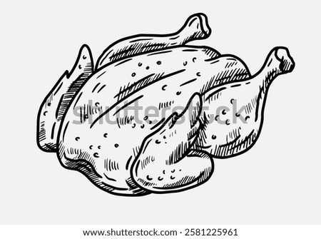 hand draw vector illustration of roast chicken