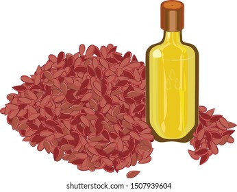 Hand draw vector image of flax seeds and flaxseed oil in a bottle, low carb high fat, healthy food; ogenic diet food