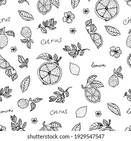 Hand draw vector lemon seamless pattern background wallpaper. Cute seamless vector pattern with lemons. Vector seamless pattern with lemon, leaves and flower. Citrus line seamless background.