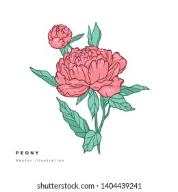Hand draw vector peony flowers illustration. Floral wreath. Botanical floral card on white background
