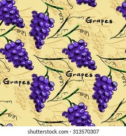 Hand draw vector seamless pattern background with grapes and leaves. For wallpaper, textiles and labels