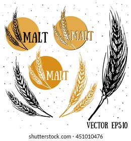 Hand draw vector sketch malt. Raw material for brewing ears of barley. Pub menu. Oktoberfest Concept with Ears of Barley. 