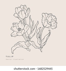 Hand draw vector tulip flowers illustration. Floral wreath. Botanical floral card on white background