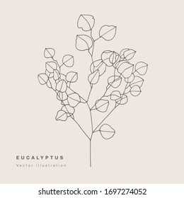 Hand draw vector ucalyptus branch illustration. Floral wreath. Botanical floral card on white background