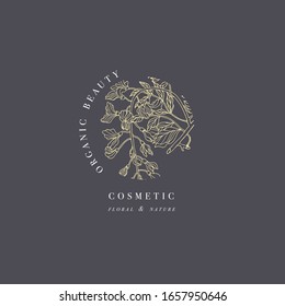 Hand draw vector wisteria flowers logo illustration. Floral wreath. Botanical floral emblem with typography
