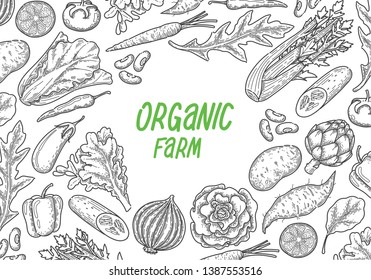 hand draw vegetable on white background, vector