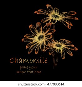 Hand draw vintage chamomile. Vector illustration