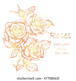 Hand draw vintage rose. Vector illustration