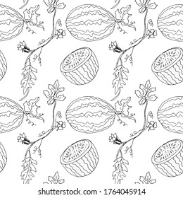 Hand draw watermelon seamless pattern, isolated on white background.  Realistic fruits in technique vintage engraving. Black and white. Vector illustration art. Hand drawing. Kitchen design with food.