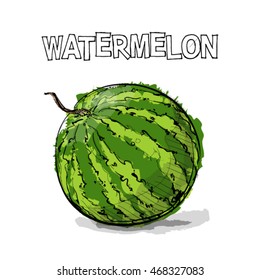 Hand draw of watermelon. Vector illustration.