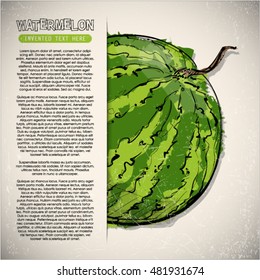 Hand draw of watermelon. Vector illustration.