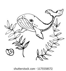 hand draw, whale
