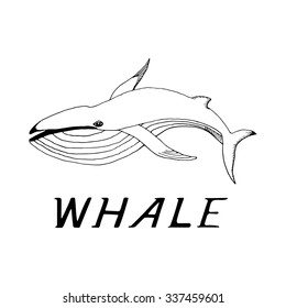 hand draw a whale in the style of a sketch on a black white background, used for banners, flyers, coloring books, tattoo