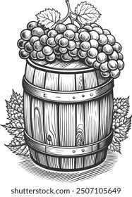 Hand draw wine barrel and bunch of grapes